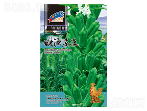 ؔ(c��i)Դ�V�M(j��n)-֥��N��-�Aһ�N�I(y��)