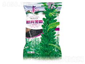 �����ڰ�-֥��N��-�Aһ�N�I(y��)