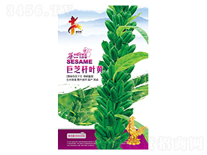 ��֥�U�~�S-֥��N��-�Aһ�N�I(y��)