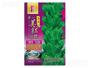 ���t8̖(h��o)-֥��N��-�Aһ�N�I(y��)