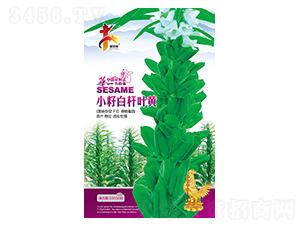 С�ѰחU�~�S-֥��N��-�Aһ�N�I(y��)