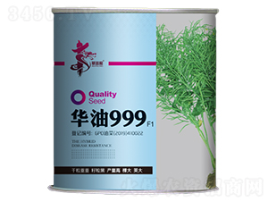 �A��999F1-�Ͳ˷N��-�Aһ�N�I(y��)