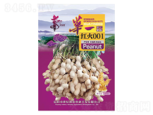 �Aһ�t��001-�����N��-�Aһ�N�I(y��)