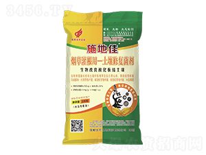 ʩ�ؼџ��ݹ���������ޏ�(f��)����-�A��