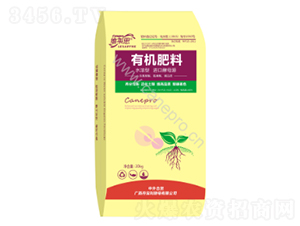 �S�R˼�ЙC����-�S�R˼