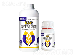 ΢�������-���S��-�߼~���r(n��ng)�I(y��)