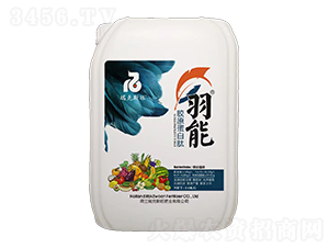 �zԭ������-����-���˹��