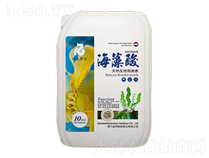 ��������Ȼ����̼���-���˹��