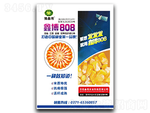 �β�808-���׷N��-ԥ�β�