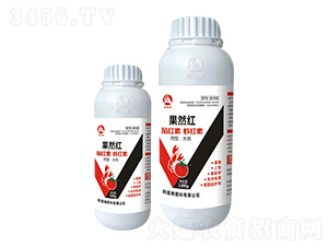 ��Ȼ�t-����ķ