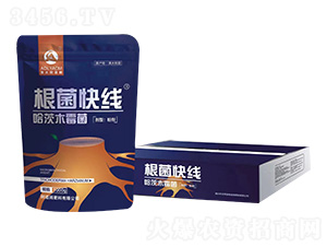 ����ľù��-�����쾀-����ķ