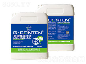 �����Ǵ��}�V-��ұ�-�A����