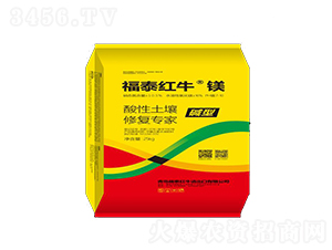 ���������ޏ͌���-��̩�t�����V