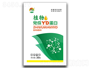 ֲ�����ߵ���-������