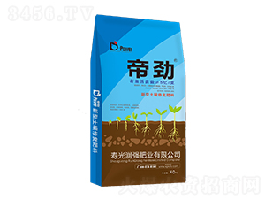 ���������ޏ�(f��)����-�ۄ�