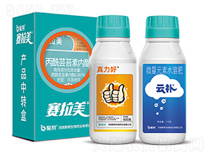 ِ����+������+���a-�ێ�