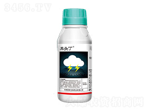 5%���������-���^��-�ێ�