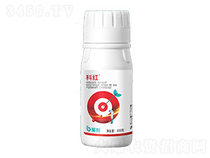 20%������Ҹ���-�Ƽt-�ێ�