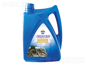 �Ř��(f��)��������-�����r(n��ng)��