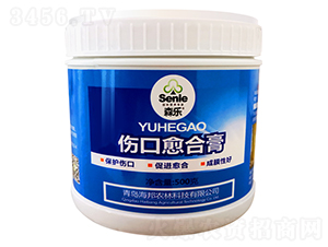 �������ϸ�-ɭ��(l��)-�����r(n��ng)��