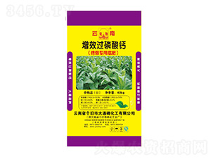 ����������Ч�^�����}-��ͨ�׻���