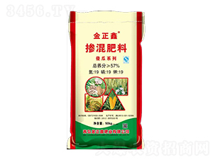 �������19-19-19-������