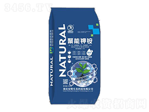 ������@-��¡���B(t��i)