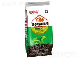 �ͺ�΢�������-����