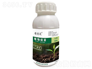 ֲ�����磨ͨ���ͣ�-ܰ��ï