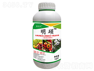 ��(f��)��΢�������-���T-ܰ��ï