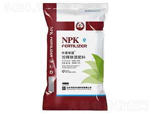 ��ጓ������28-6-6-���Y�A��-����S