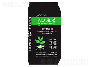 ΢�������-��(r��n)���L(zh��ng)��