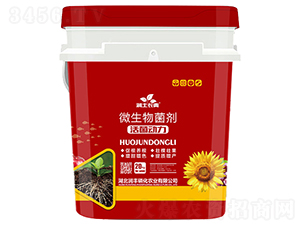 ���������΢�������-�����L��