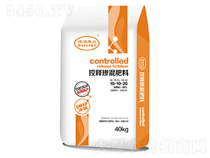 ��ጓ����18-10-20-�¸��R��-���·���