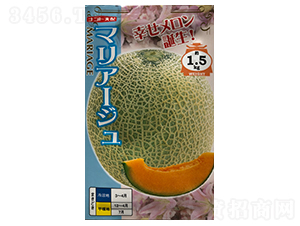 �����I-��ϷN��-ɽ��ʢ�N��