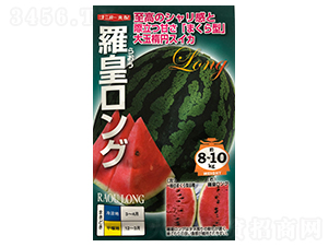 羅皇王子-西瓜種子-山田盛種苗