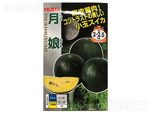 ����-���ϷN��-ɽ��ʢ�N��