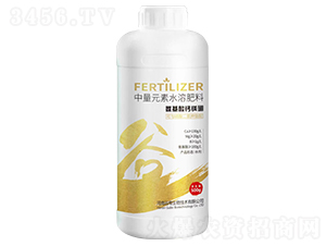 �������}�V��-�Ȳ�����