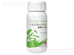 ����ʮ��Ԫ��-�Ȳ�����