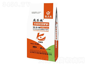 ��ጓ������18-12-18-�ט�ʩ-�P����