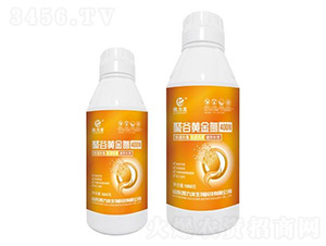 �۹��S��-�P����