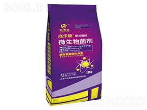 聚谷氨酸微生物菌劑-底樂施-凱力龍