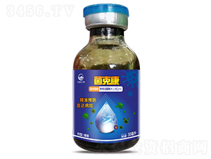 ���˿�-����������-Ҽܰ����