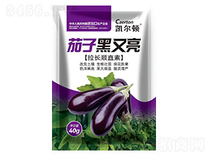 茄子黑又亮【拉長順直素】-凱爾頓-綠邦農(nóng)化