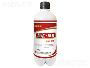 ���ǡ�Ó��΢�����-̽·���h-�Pʢ