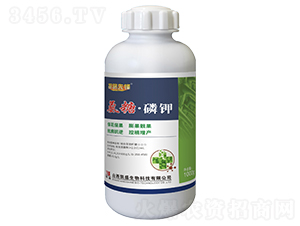 ���ǡ����΢�������-̽·���h-�Pʢ