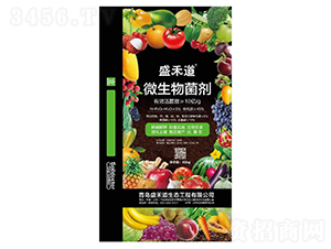 ΢�������10�|���-ʢ�̵�