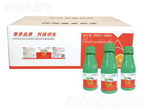 ��ϵ��ס�⁷�-һ֦��