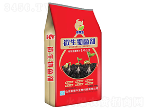 ΢�������-�ǳ�ţ