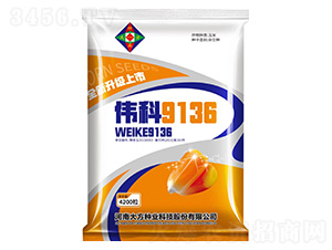 ���׷N��-����9136-�Є�(chu��ng)�N�I(y��)